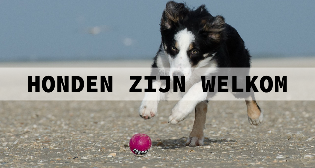 honden zijn welkom